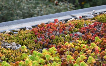 the cost of Palterton green roof installation