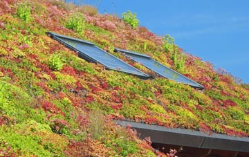 Palterton living roof systems