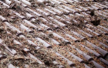 Palterton roof cleaning companies