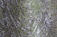 Palterton fibreglass roof work